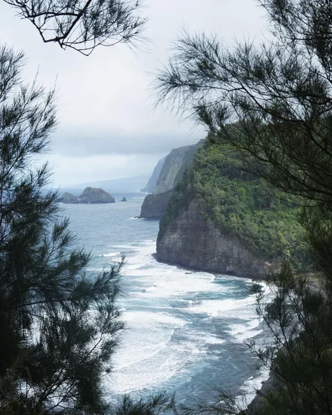 Waipi'o Valley [1440x1800] [OC]
