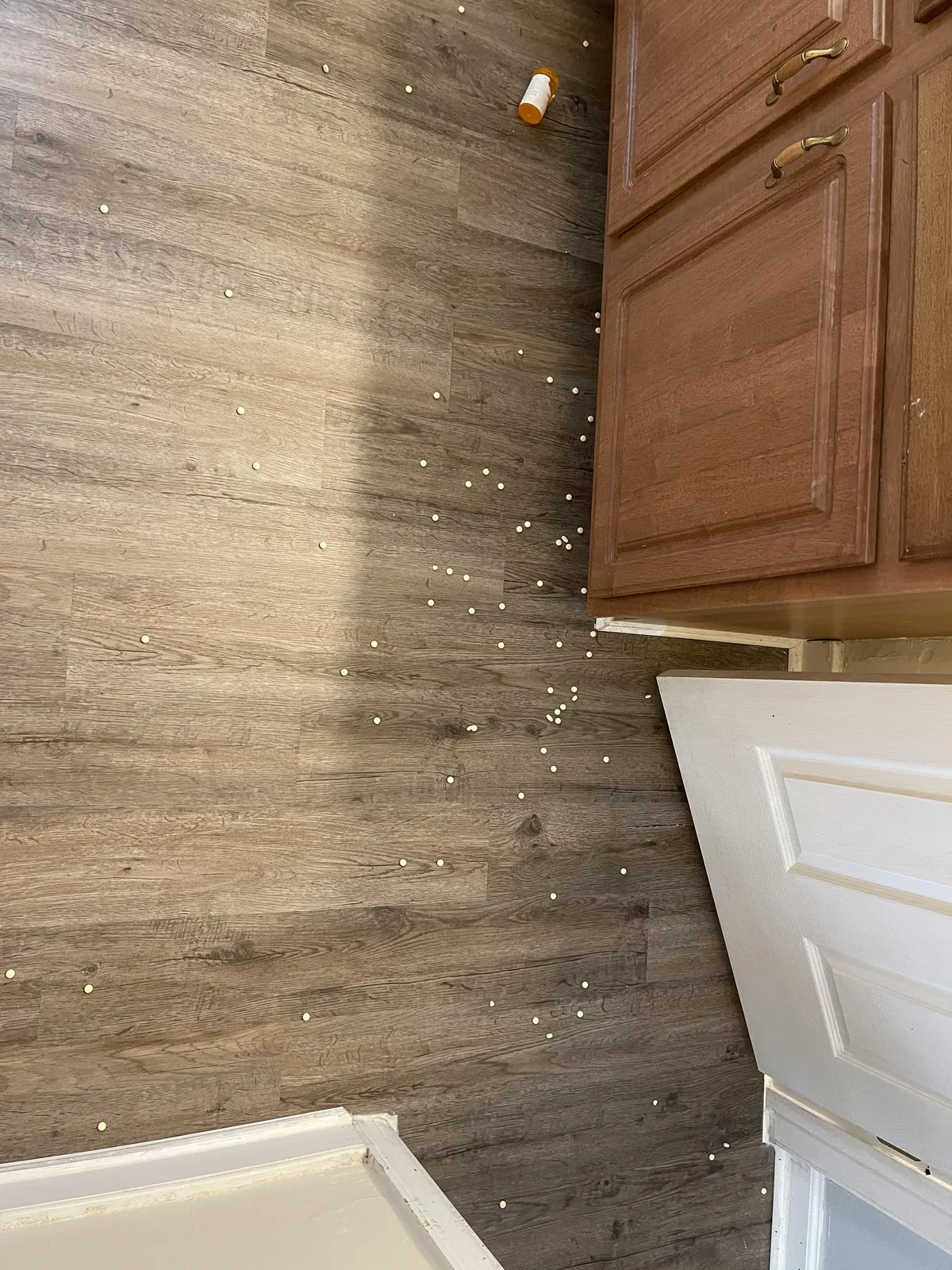 Is it funnier knowing that these are antidepressants?