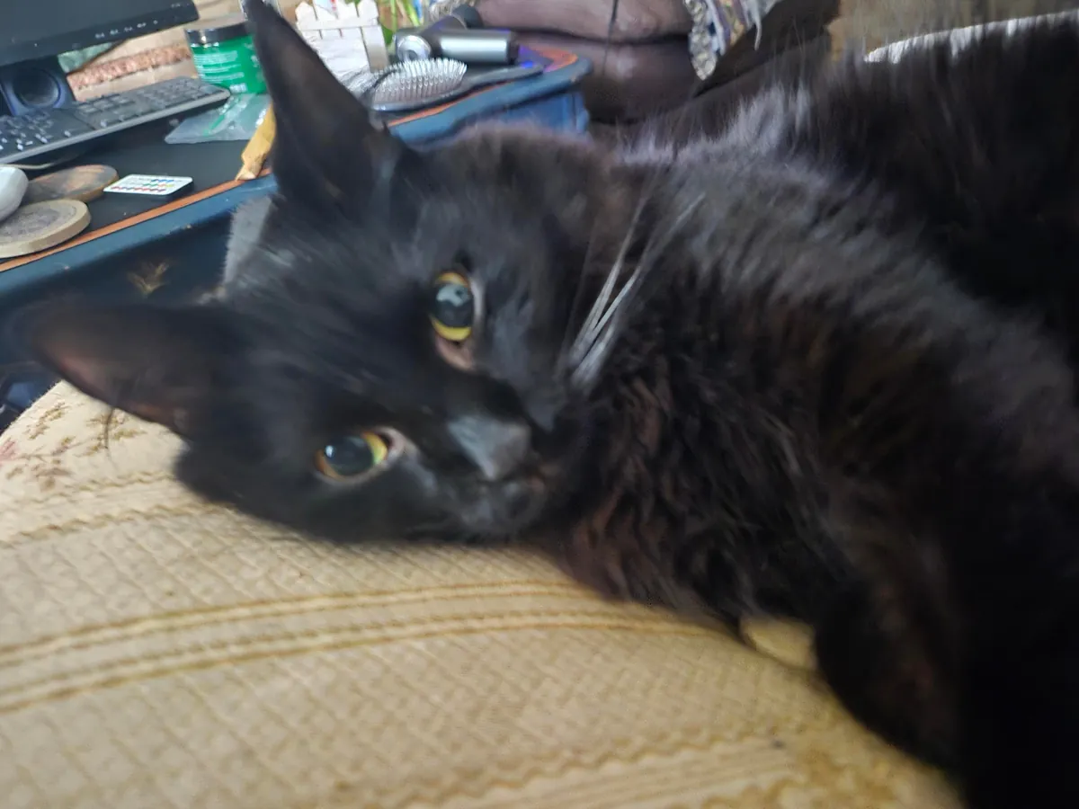 Ex- Roommate left her