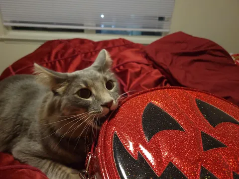 "You won't want to deal with it"