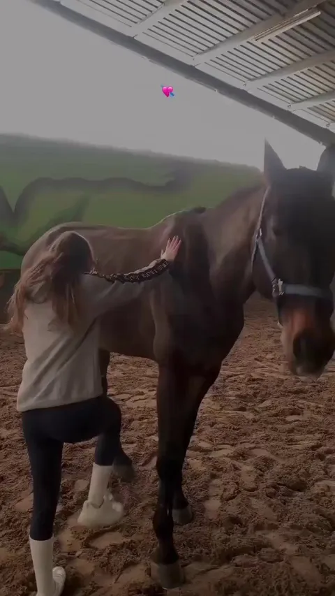 Horse Helps Rider Up