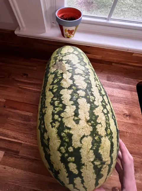 My first watermelon!