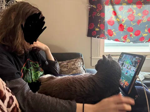My 12 y/o cat never sat on my lap, then my GF moved in…