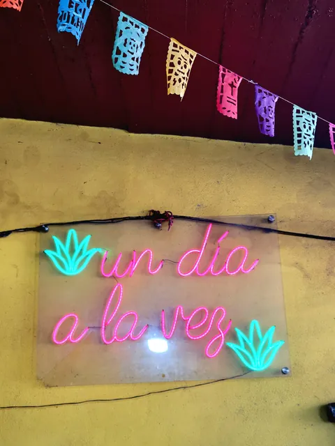 1 month in Oaxaca, Mexico February 2026