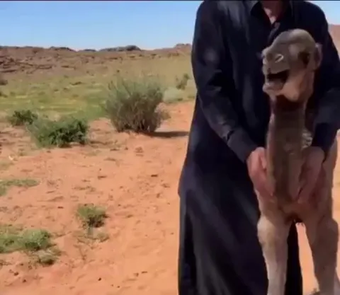 Calming down my bro who jumped in at $122K for a quick flip