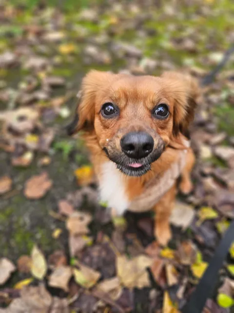 Kevin is contagious happiness in a small package