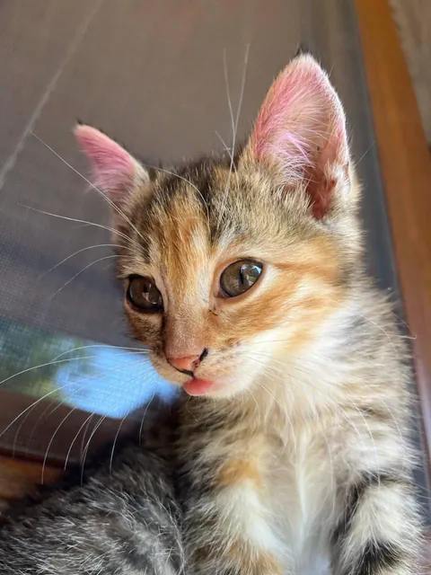 So young but so cuttie