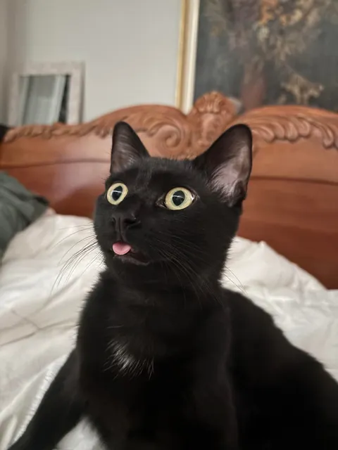 anyone else have an expressive void?