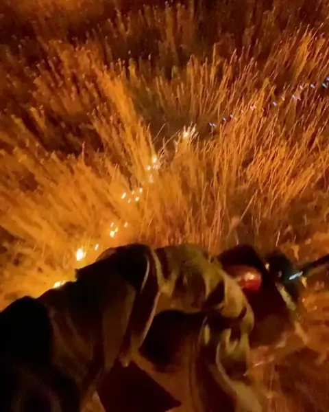 Prescribed burn at the San Carlos Apache Indian Reservation