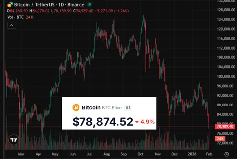 Bitcoin Price just fell below 80k for the first time since the April 2025 Tariff Scare. (Low of $78,159 so far)