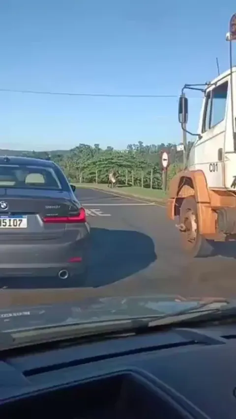 Wondering if insurance will cover it