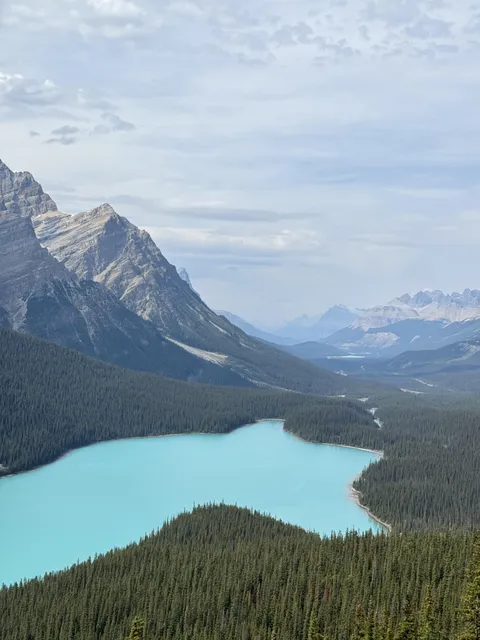 Peyto Lake, Alberta, Canada [OC] [3024x4032]