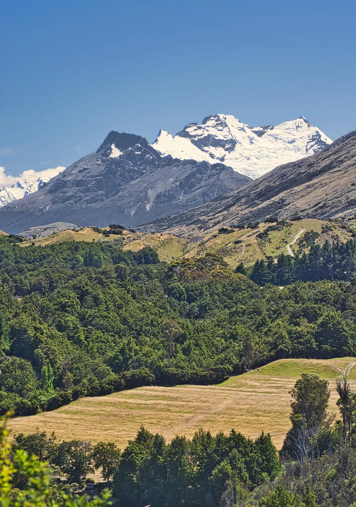 Paradise, New Zealand  [OC] [1687 x 2400]