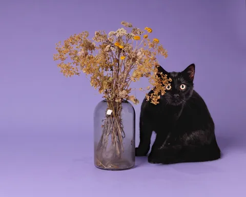 Look who's got a nice photoshoot