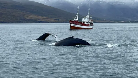 Iceland: Full Ring Road
