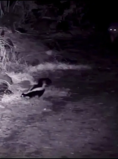 When you realize dinner comes with free perfume !