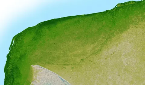 The crater from the dinosaur killer