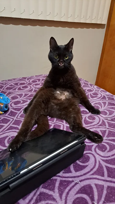 My little void beat cancer