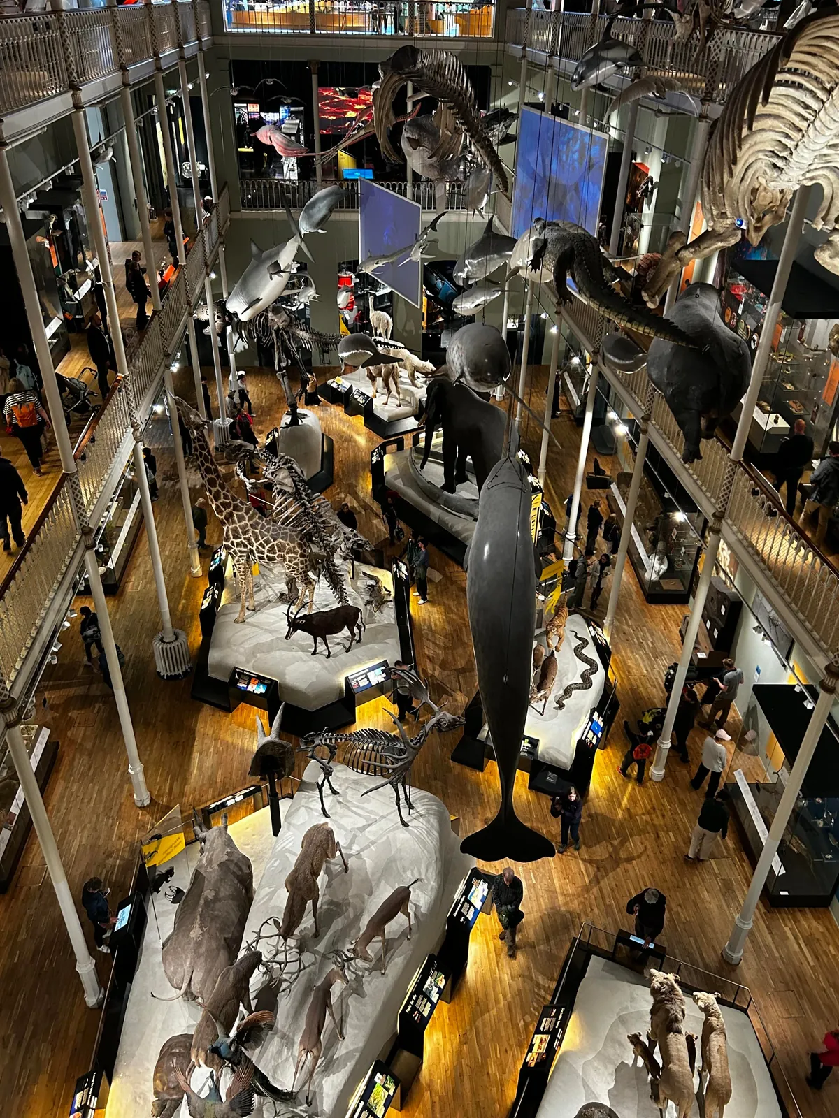 Recent trip to the charming city of Edinburgh, Scotland