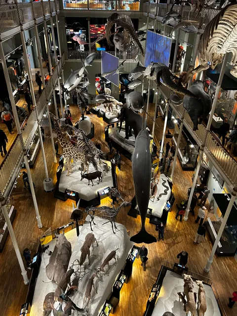 Recent trip to the charming city of Edinburgh, Scotland