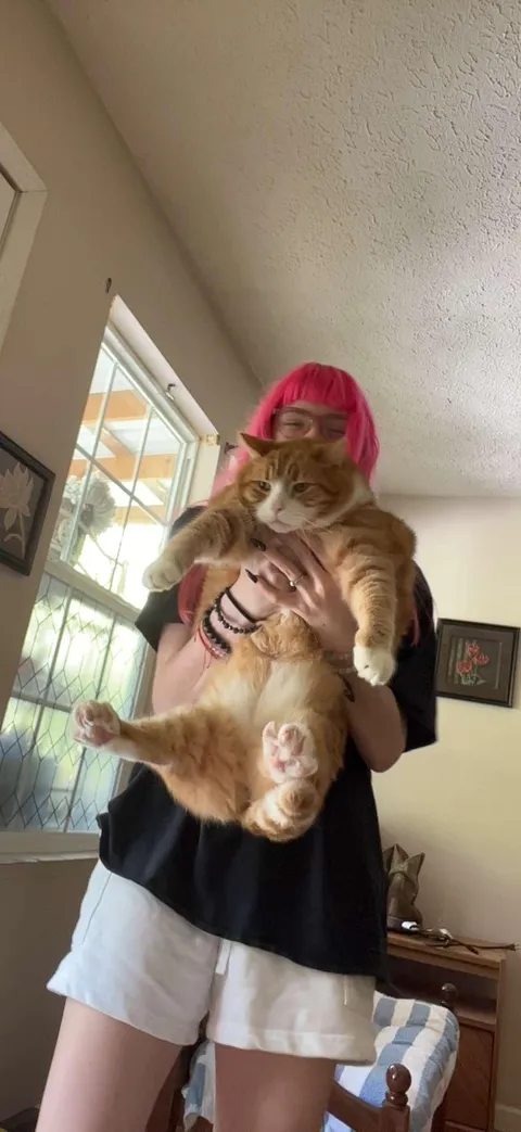 my mamaws cat is bigger than me almost!