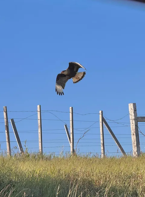 Patagonian region of Argentina 🇦🇷