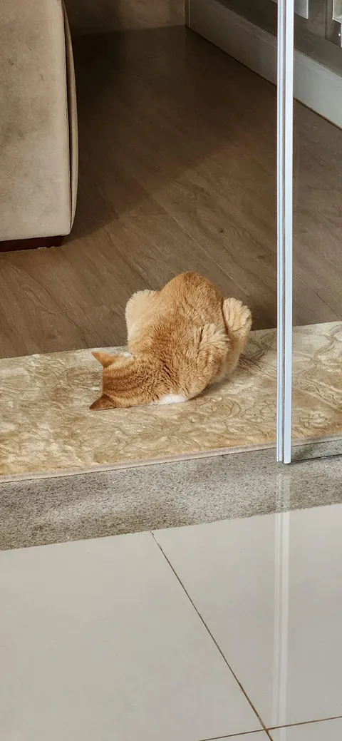 Is this normal? He never slept like this