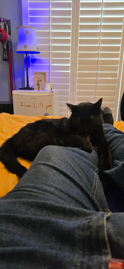 Its Friday the 13th!! Show me your Voids!!!