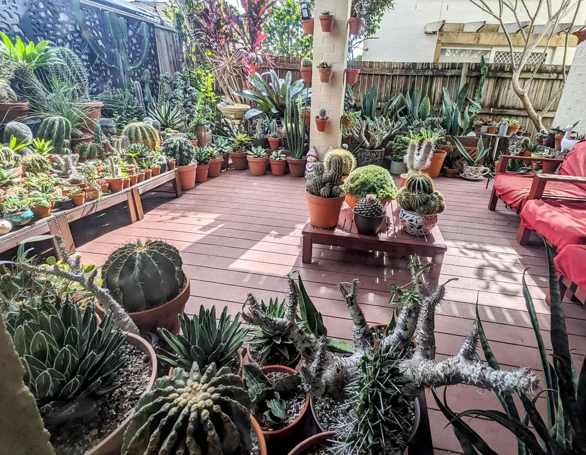 Another view of my patio