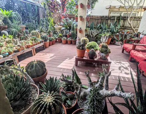 Another view of my patio