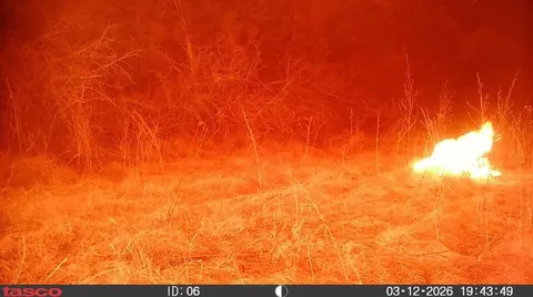 A trail cam that went through a wild fire in Nebraska it survived and took photos