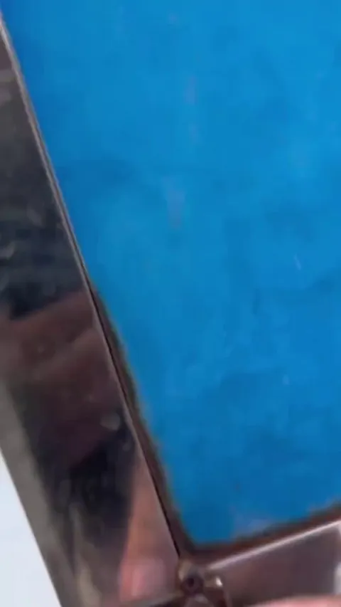 Was this dog raised by a drama fox?