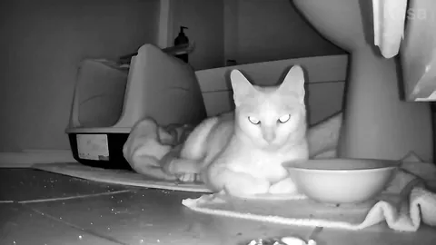 Celebrating two adorable years with this little stinker.