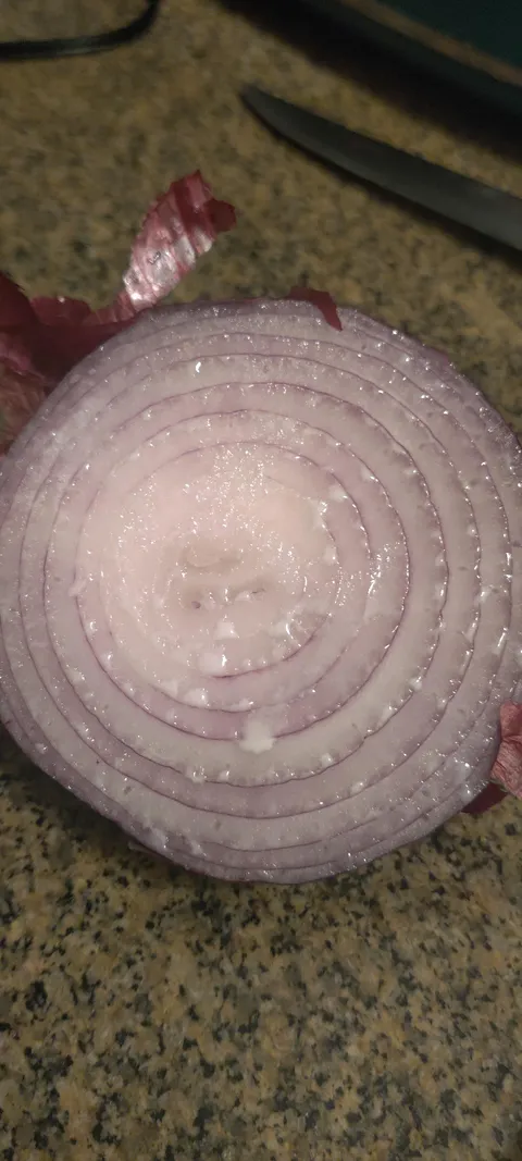 This onion was dripping onion milk after I cut it.