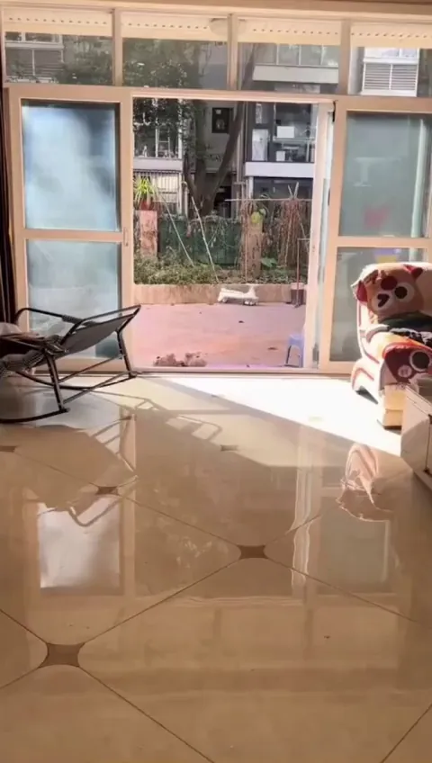 Bro tried to prank his dog