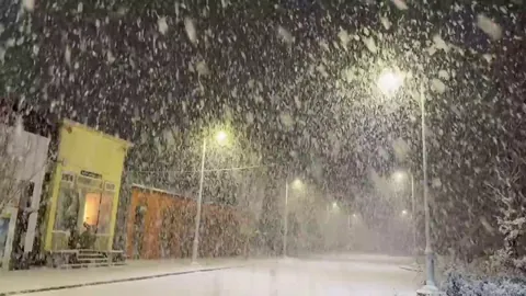 Snowfall with big snowflakes
