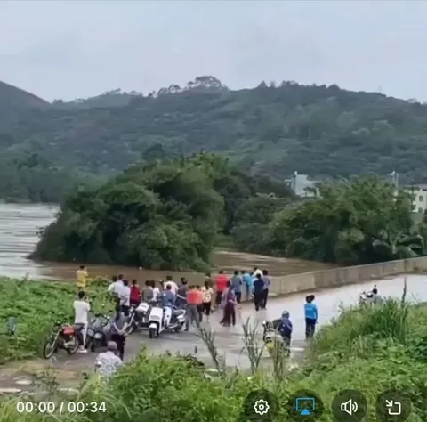 Bridge to the Tree, it ain't happening chief