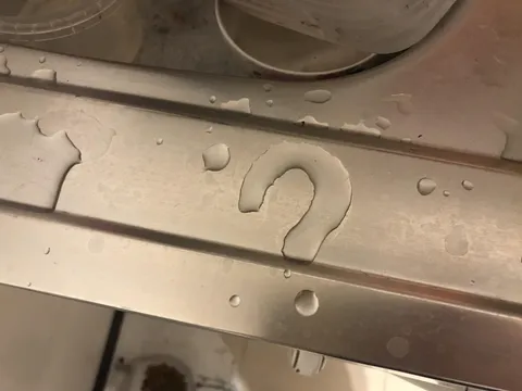 Water on my sink formed a perfect question mark