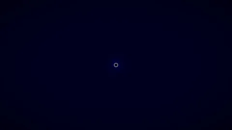 Programming the Office Slut