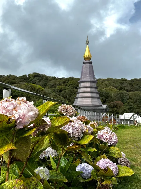 5 Days in Chiang Mai reflection. Slower Pace + Crisp Air + omg Khao Soi (curry noodle soup)