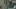 Christy Imperial and Aliya Raymundo - “Violet” (2025)