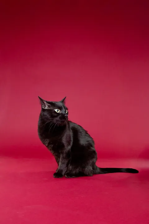 She got her photos taken professionally for charity!