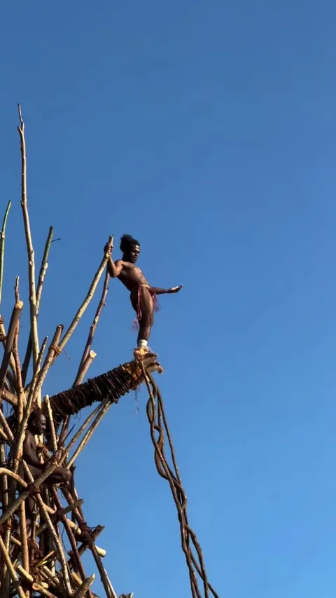 Land diving on Pentecost island in Vanuatu