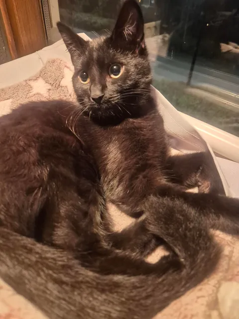 My void is 1! 🥳🥳