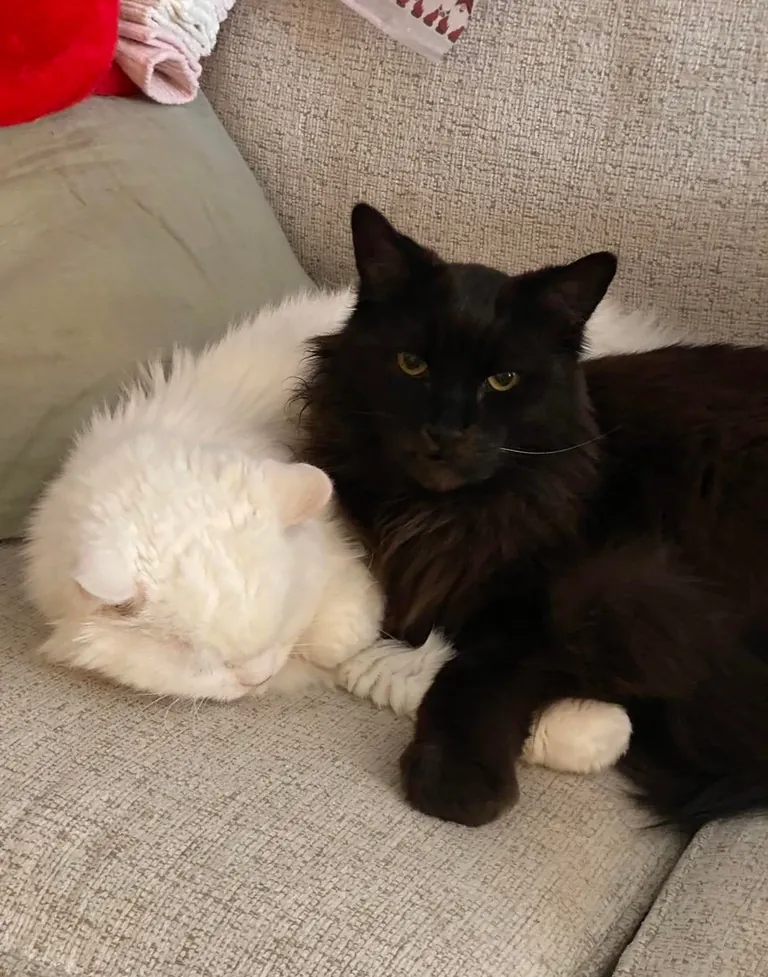 My Void with his Cloud 