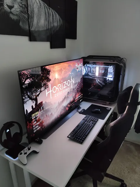 CX48 + Horizon Zero Dawn= Stunning!