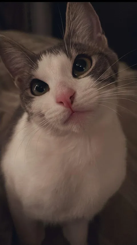 isn’t she the cutest?