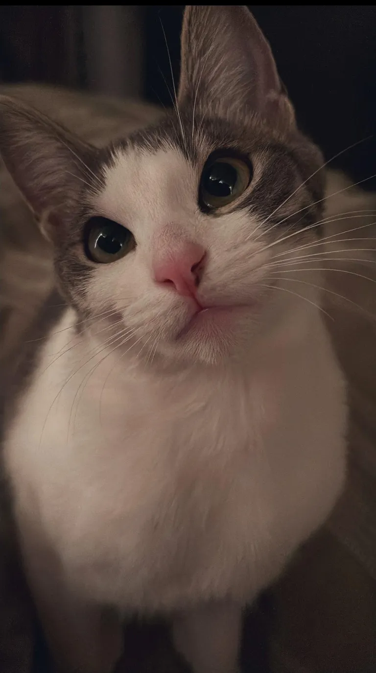 isn’t she the cutest?