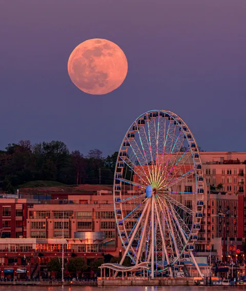 Super moon rising. [crop]