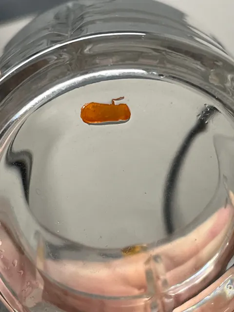 This came from my soda can